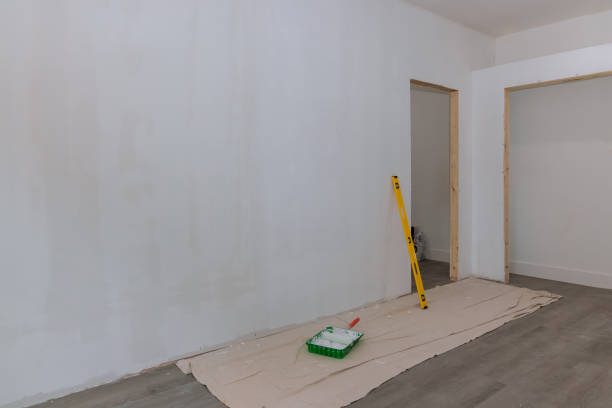 Best Mold Odor Removal Services  in Jekyll Island, GA